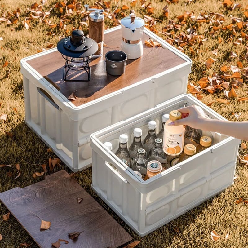 Set X2 Cajas Plegables Multiuso 30L + 55L