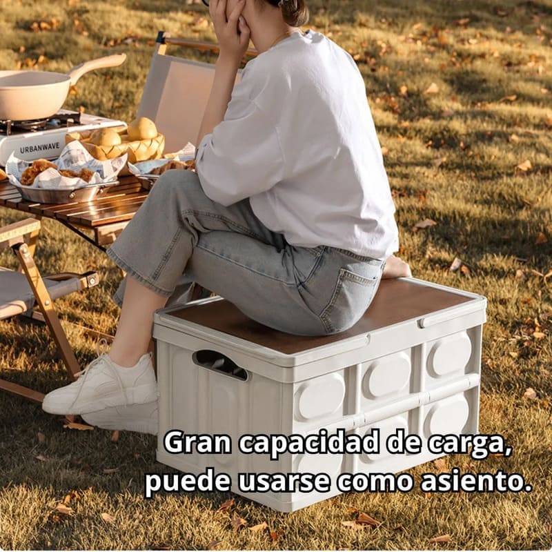 Set X2 Cajas Plegables Multiuso 30L + 55L - Image 6