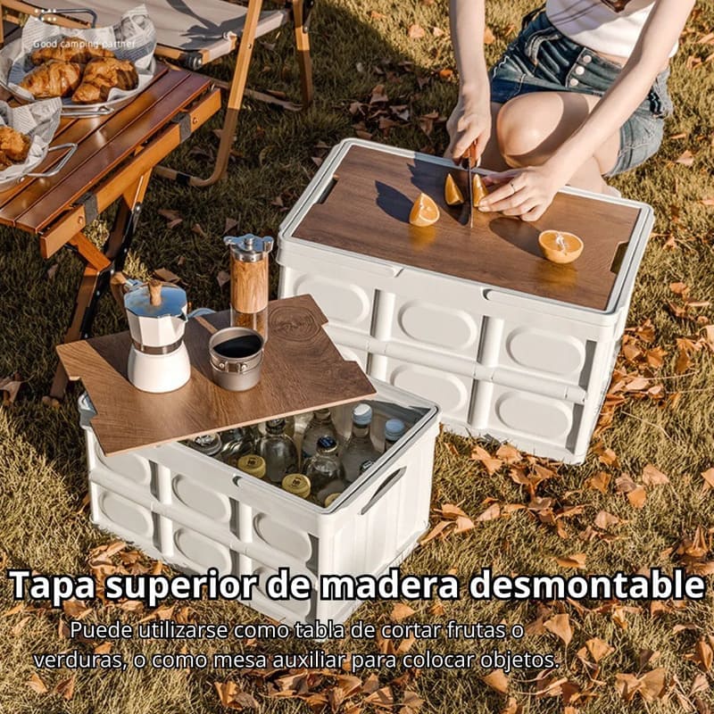 Set X2 Cajas Plegables Multiuso 30L + 55L - Image 7